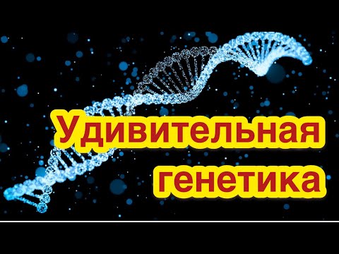 Самые удивительные факты о генетике. Кто такие люди-химеры?