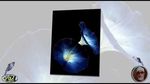 050 Surat Qaf القران الكريم بصوت محمود خليل الحصري سورة ق