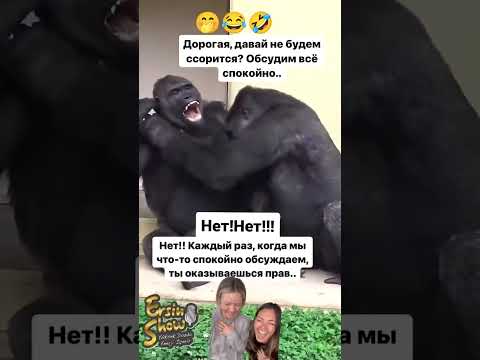 #ссора #ссоры #ссорывсемье #рек #реки #рекомендации #девочки #девушка #семья
