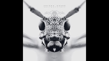 vortex count - plownedth | selfportrait  | polygon network [NW0001]