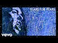 Tears For Fears - Laid So Low (Tears Roll Down)