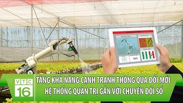 Đổi mới hệ thống quản trị gắn chuyển đối số: Tăng tính cạnh tranh cho nông sản | Hợp tác xã VTC16