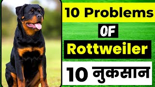 Top 10 Problems Of Rottweiler | Rottweiler Problems | Rottweiler के 10 नुकसान by Vaibhav Dog's World 18,967 views 5 months ago 7 minutes, 18 seconds