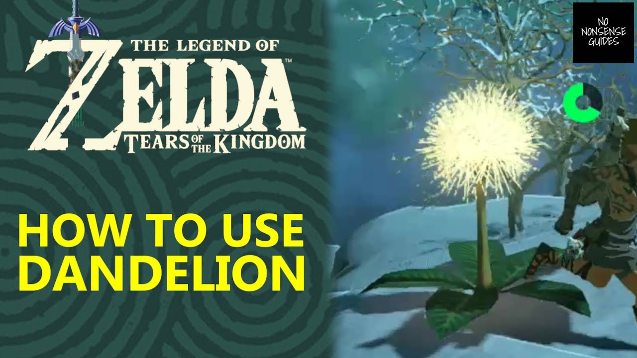 Zelda ToTK Dandelion What to do with Dandelion in Zelda Tears of