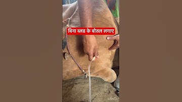 Intravenous injection l dr Umar Khan