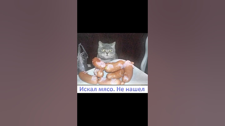 Искал мясо  Не нашёл #мем #мемкоты #коты