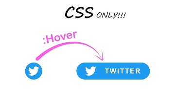 CSS Twitter Button Hover Effect Using Html & CSS | CSS Twitter Button Animation