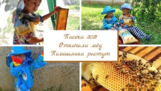 Пасека 2021. Откачали мёд. Помощники растут.