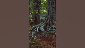 The Secret Language of Trees: The Wood Wide Web.#nature #trending #shorts #travel #shortvideo .