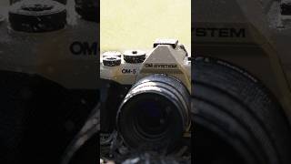 This Camera is Ready for Anything! This Camera is Ready for Anything!