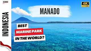 🇮🇩 TOP 8 THINGS TO DO IN MANADO INDONESIA, BUNAKEN MARINE PARK AND MORE 🤿 🌊🏝🐠🐒🌋🌆