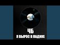 Сиги есть Сиги есть