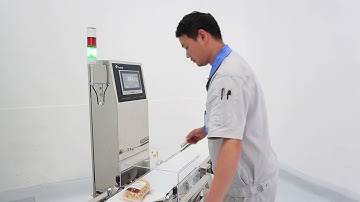 Techik Checkweigher System