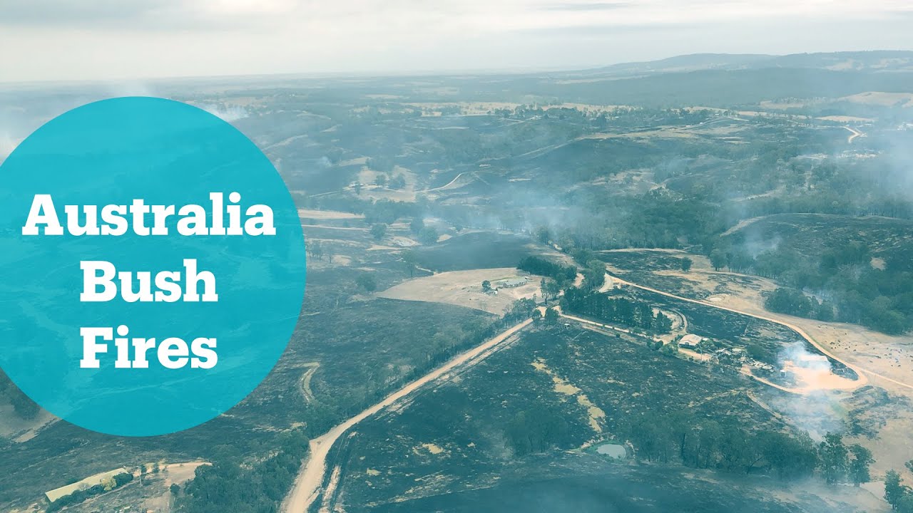 Australia residents and holiday makers flee bush fires - YouTube