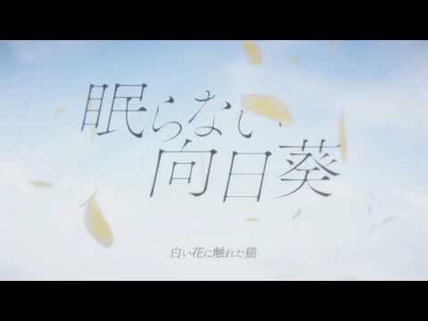 -Sunflowers that never sleep- MV Teaser