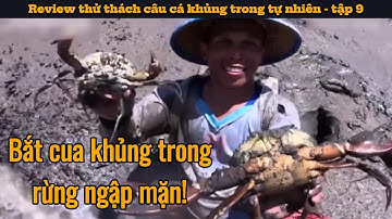 Bắt cua khủng trong rừng ngập mặn | Review thử thách câu cá khủng trong tự nhiên - tập 9