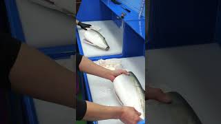 Japanese fish cutting 🔥technique #shorts