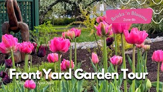 Front Yard Garden Tour (April 2024) 🌷 Tulips, Pansies, Flowering Trees, and More!