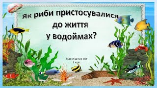 картинка: Урок 63.  Як риби пристосувалися до життя у водоймах? Я досліджую світ 3 клас