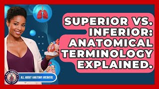 Superior Vs. Inferior: Anatomical Terminology Explained. - All About Anatomy Answers