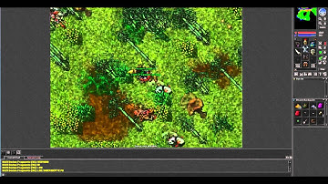 Tibia Terror Bird Mount / Montaria aprenda a domar #tutorial #dica [HD]