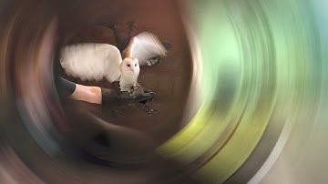 Radial Blur in Adobe Photoshop