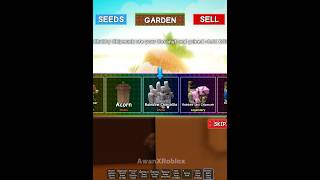 Rainbow Chinchilla Is Big Cap