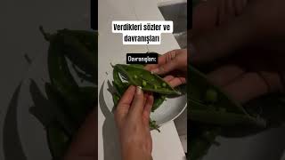 Verdikleri Sözler Ve Davranışları