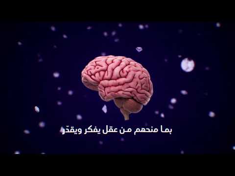 موقف العباد من نعم الله آية وعبرة