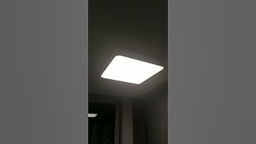 xiaomi yeelight blink error