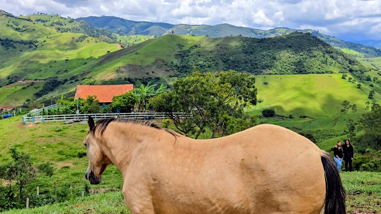 🍀🏡 CHÁCARA FORMADA - CACHOEIRINHA - CASA BOA - POMAR - CURRAL - EXCELENTE LOCALIZAÇÃO E TOPOGRAFIA 🏡