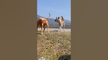 I Hate This Video! Deleting It Would Be Easy, But It Happened