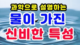 얼음은 왜 물에 뜨는지 과학적으로 본 물의 신비한 특성 여러가지 표면장력, 모세관 현상