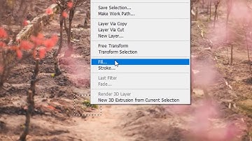 3 Cách để xóa vật thể hiệu quả và dễ nhất trong photoshop -Nguyễn Hữu Tuấn