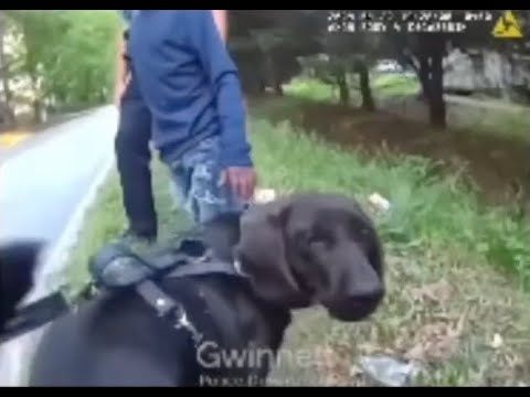 HEROIC RESCUE: Body Cam Captures K9 Searching for Missing Autistic in ...