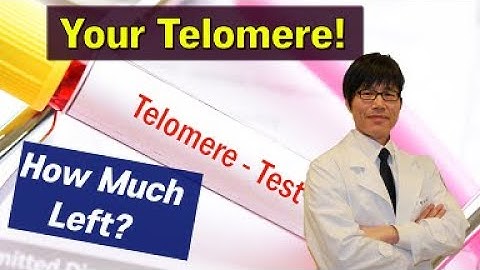 💊 Telomere Aging-3: 📌 How to Measure Your Telomere for Aging Speed