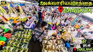 Asia's largest aquarium fish market ✨ THAILAND AQUARIUM MARKET | BUDGET TRAVEL TO THAILAND EP9