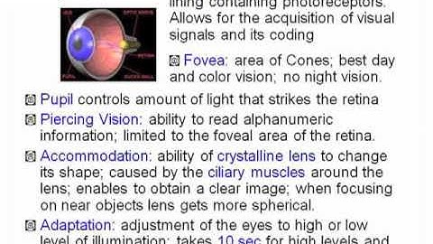 CATS ATPL HPL Vision I