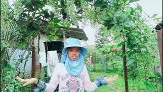 Sand paper vine, Duranta and Akar dani.