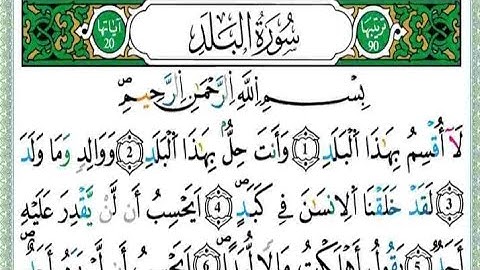 سورة البلد بالتجويد #تعلم التجويد مع المصحف المعلم