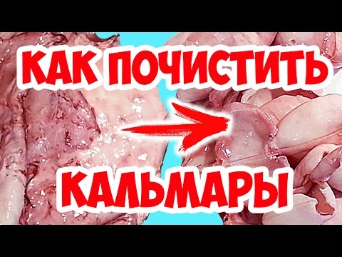 Видео: Как да готвя калмари в чеснов и ядков сос