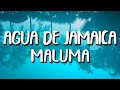 Maluma - Agua de Jamaica (Letra/Lyrics)