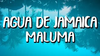 Maluma - Agua de Jamaica (Letra/Lyrics) screenshot 4