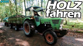 DER VERGLEICH! | DEUTZ und IHC am Holz fahren! | Das erste Mal KIPPER im Einsatz| DEUTZ 6806 IHC 633