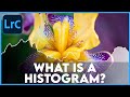 WHAT IS A HISTOGRAM? || 30 Days of Lightroom