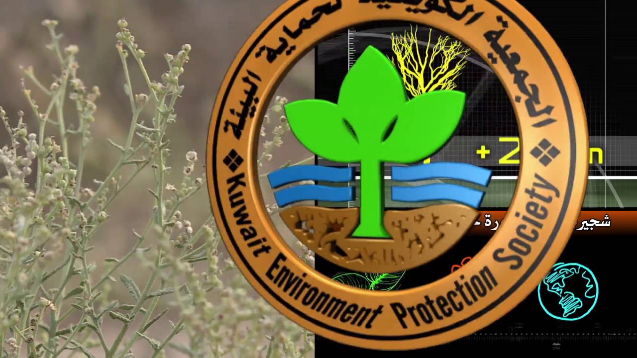 برنامج كل يوم نبته حلقة نبات الرمرام الحلقة الرابعة والعشرون