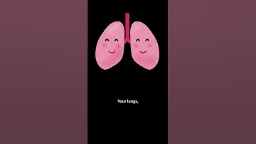 The Beauty of Fractals: Infinite Patterns in Nature #mathematics #maths #infinity #patterns #nature