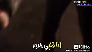 احلى حالات واتس $(سيجاره ف سيجاره لابس نظاره$)