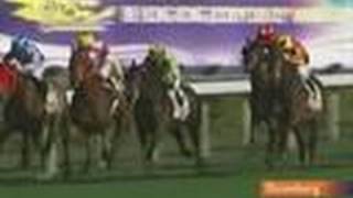 H.K. Horse Racing Pays Generously to Winners, Charity: Video