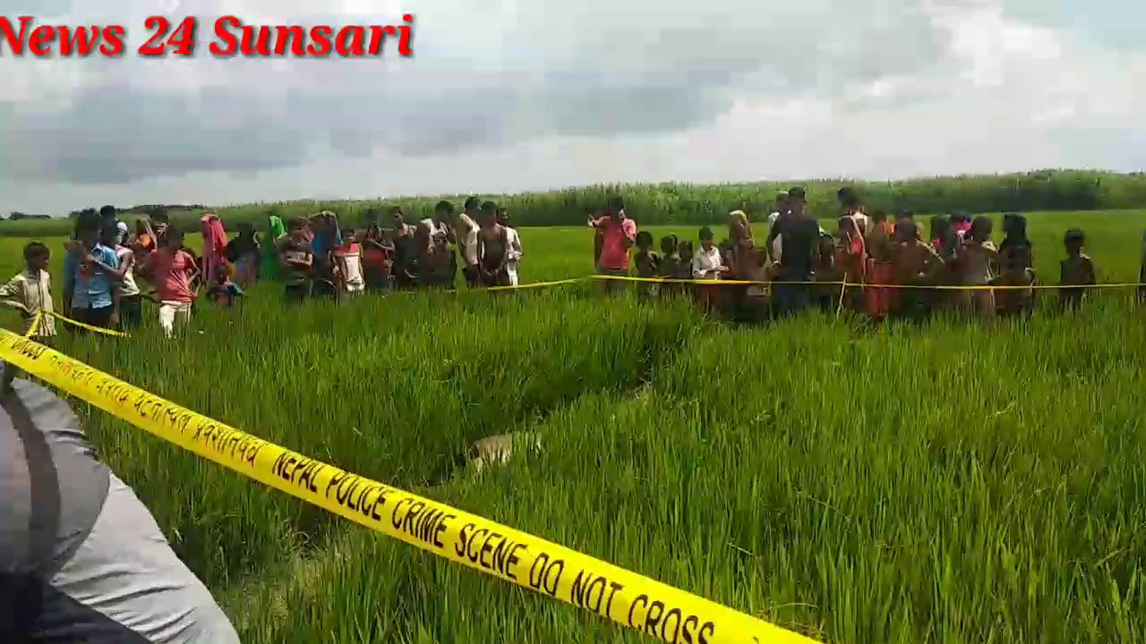 सुनसरी, सुनसरीको हरिनगर गाउँपालिका वडा नम्बर ७ साबिकको घुस्की गाविस ७ धानको खेतमा आज विहिवार १२:३० ब